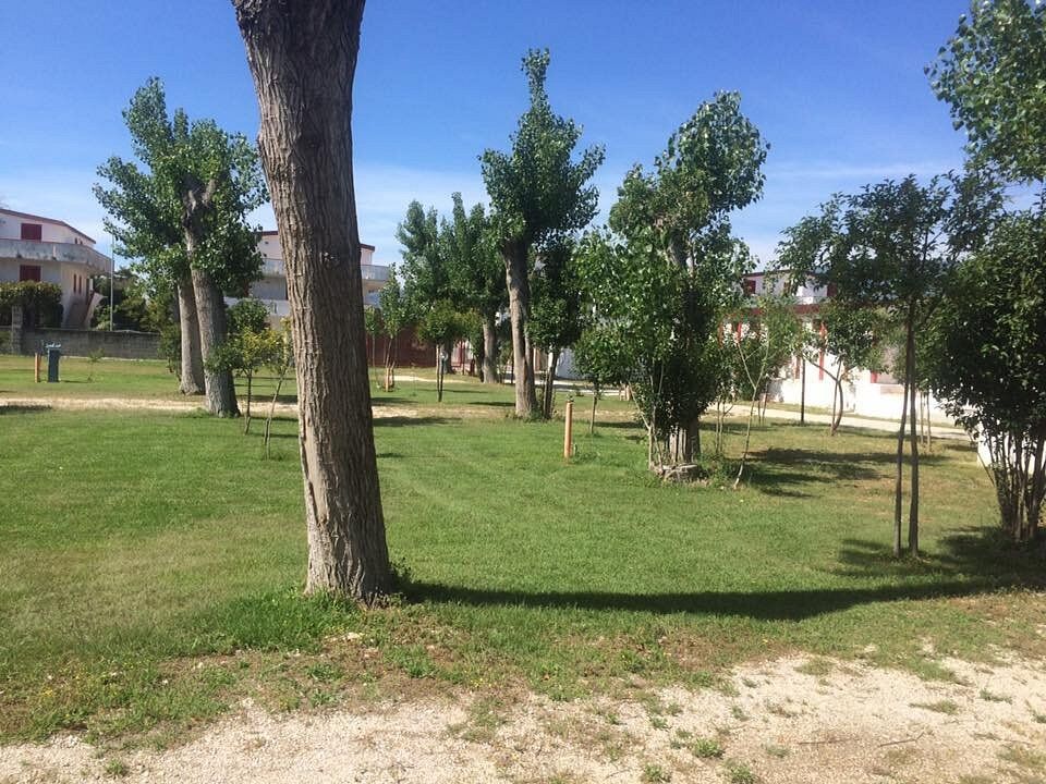 Piazzole sul prato