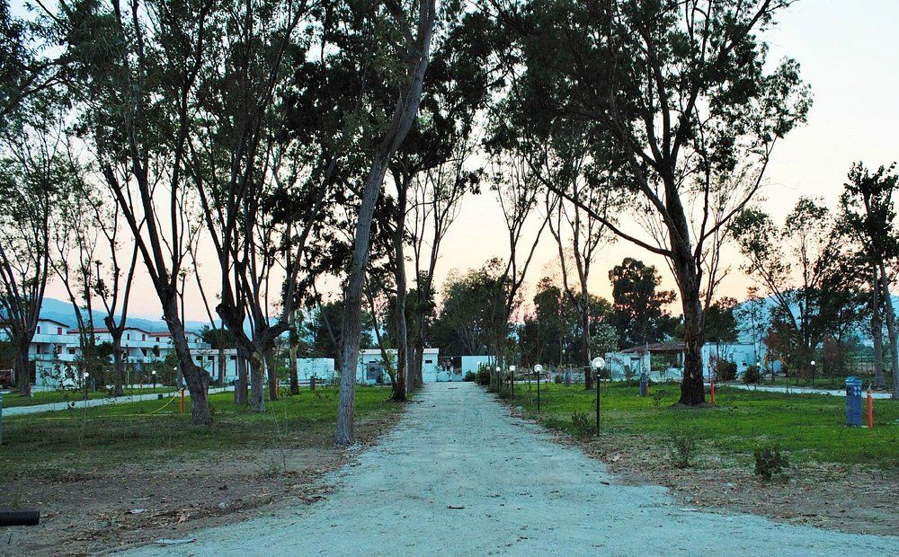 Il viale alberato al tramonto